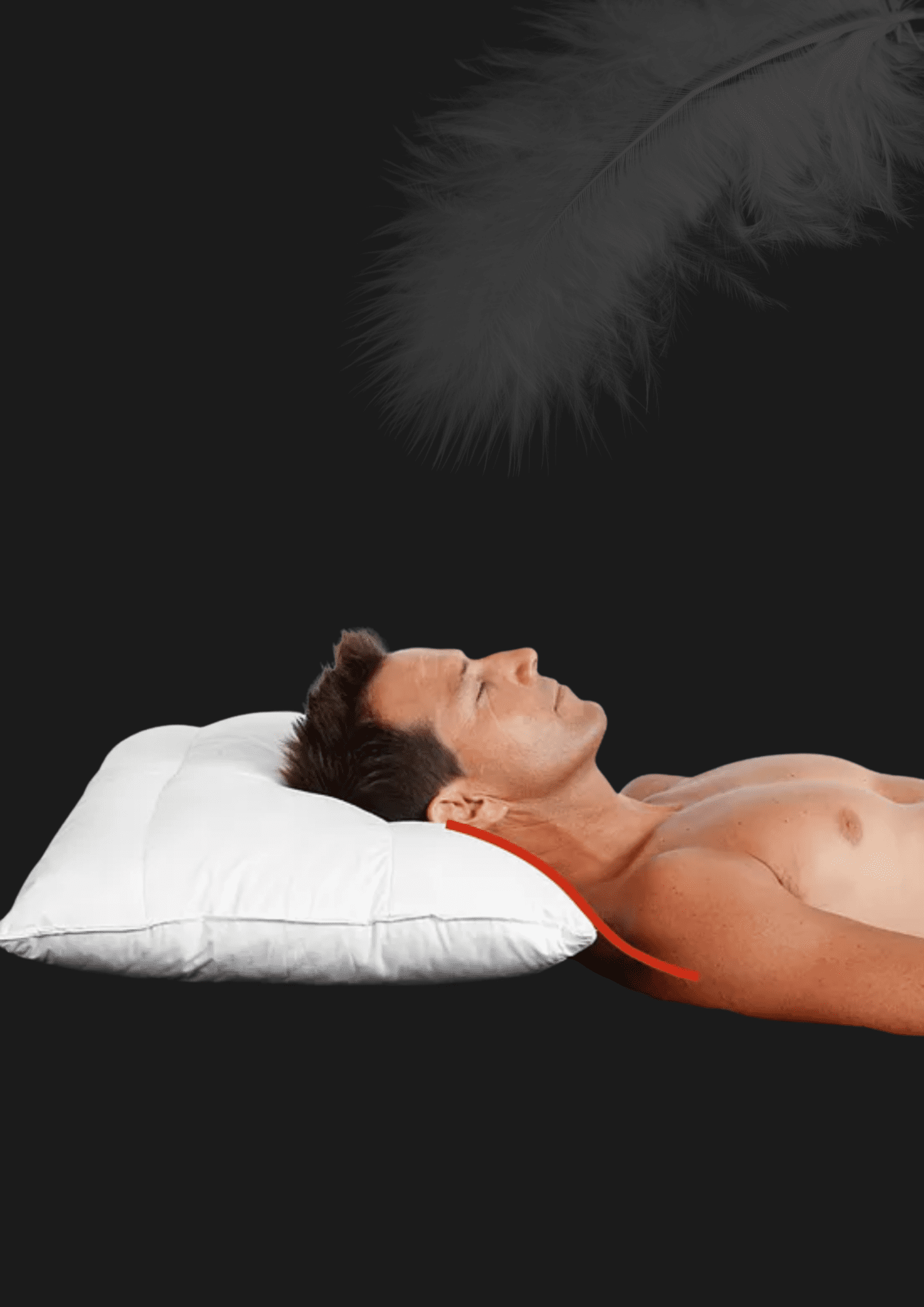 ECLIPSE FIBRE PILLOW PAIR