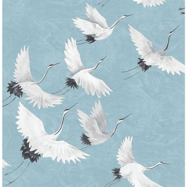 Bird and Animal Wallpapers
