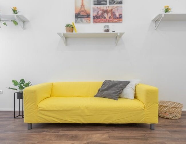 Luxurious Curve Sofa How to Make Your Home Look Elegant