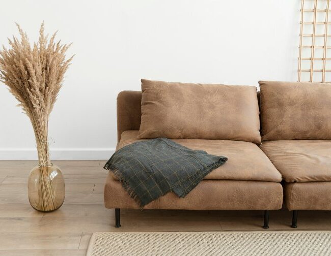 The Art of Seating Premium Sofa Designs on Sale - Elevate Your Space
