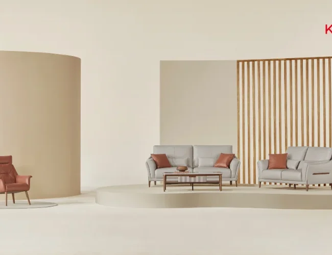 minimalist living room ideas on a budget